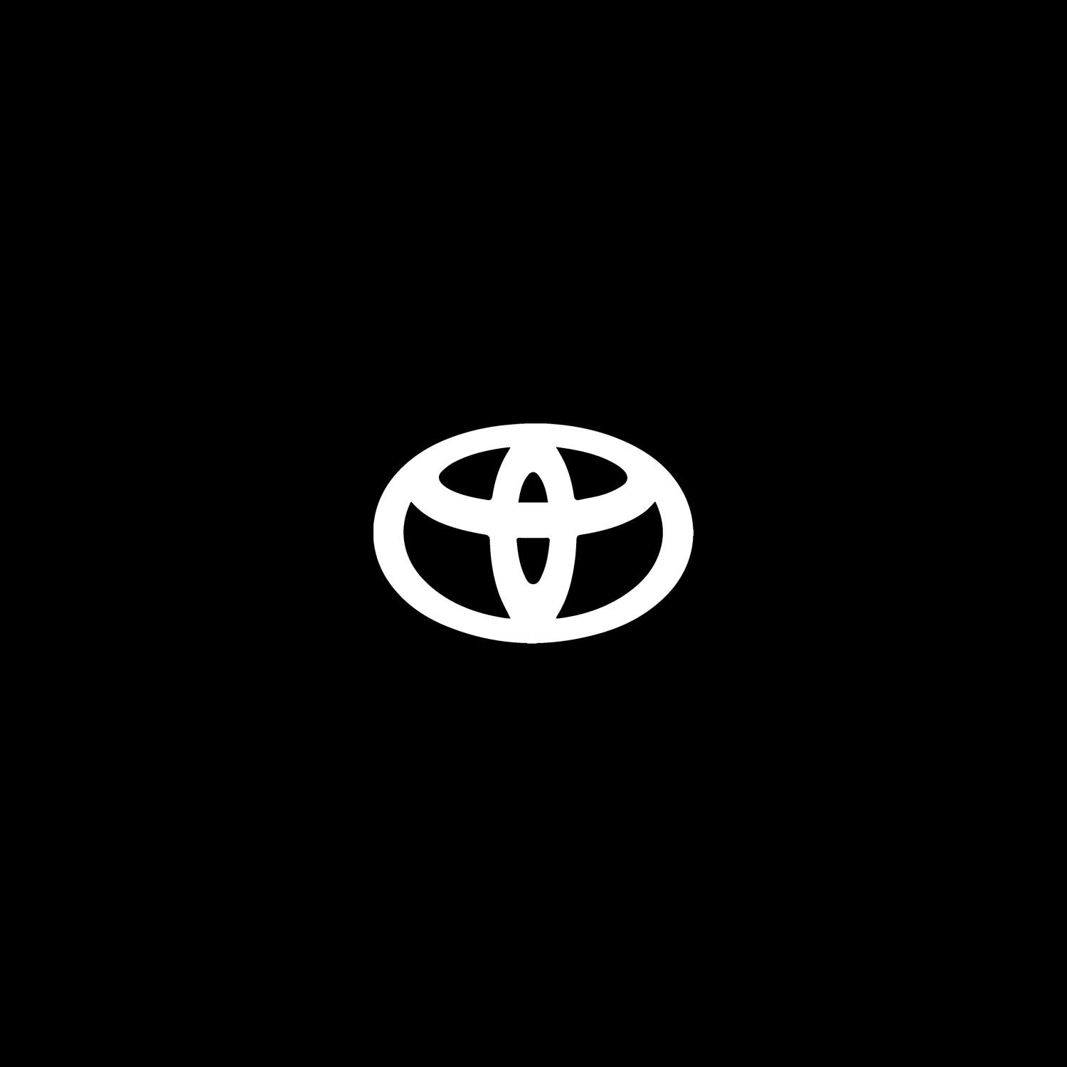 Toyota - Bushdoof Lighting