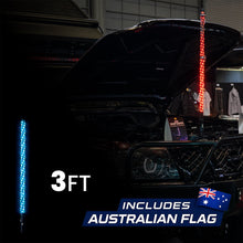 3ft LED Whip Lights - Bushdoof Lighting