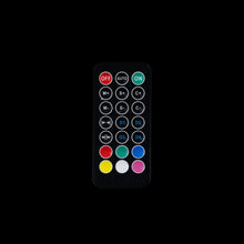 LED Whip Remote - Bushdoof Lighting