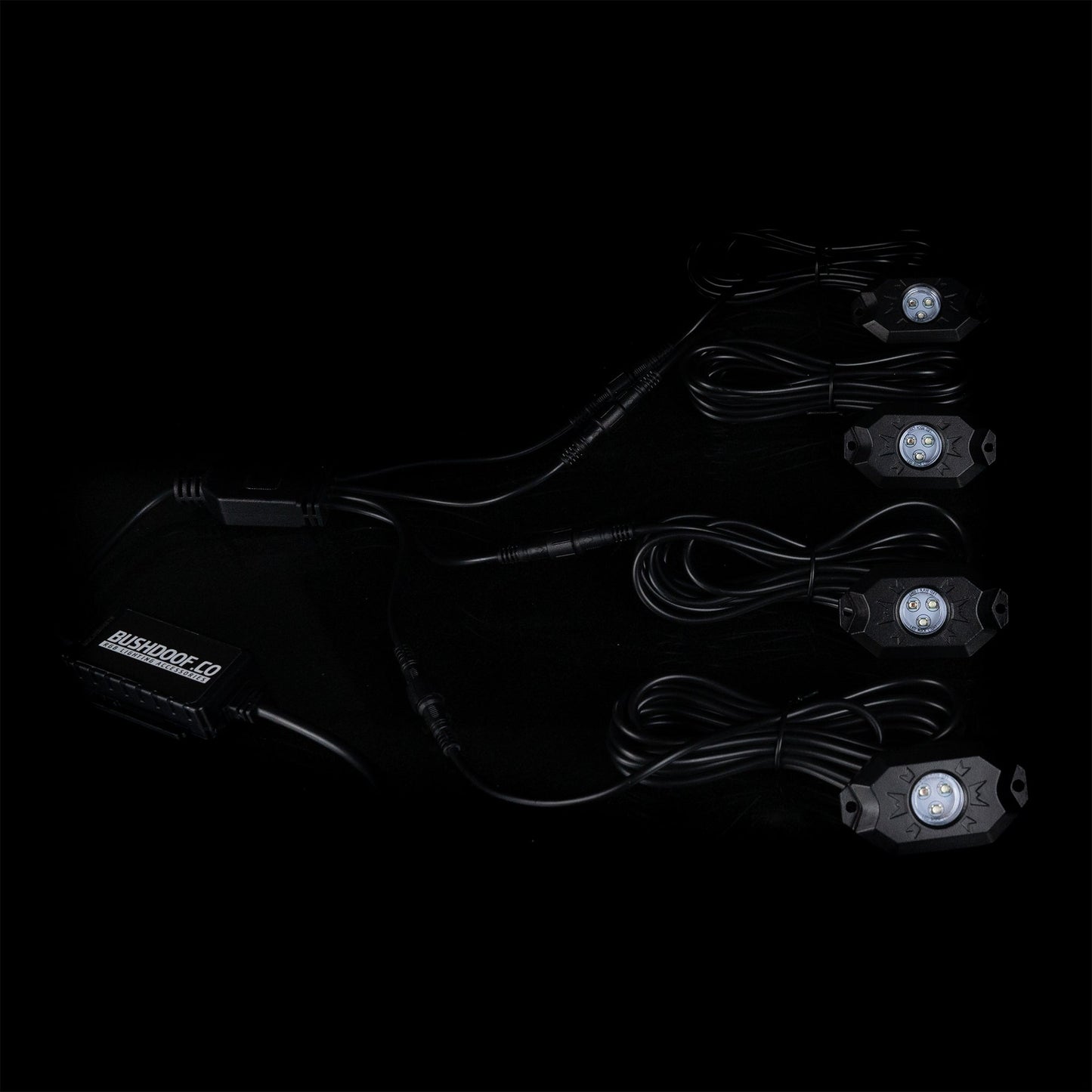 RGB Rock Light Controller - Bushdoof Lighting