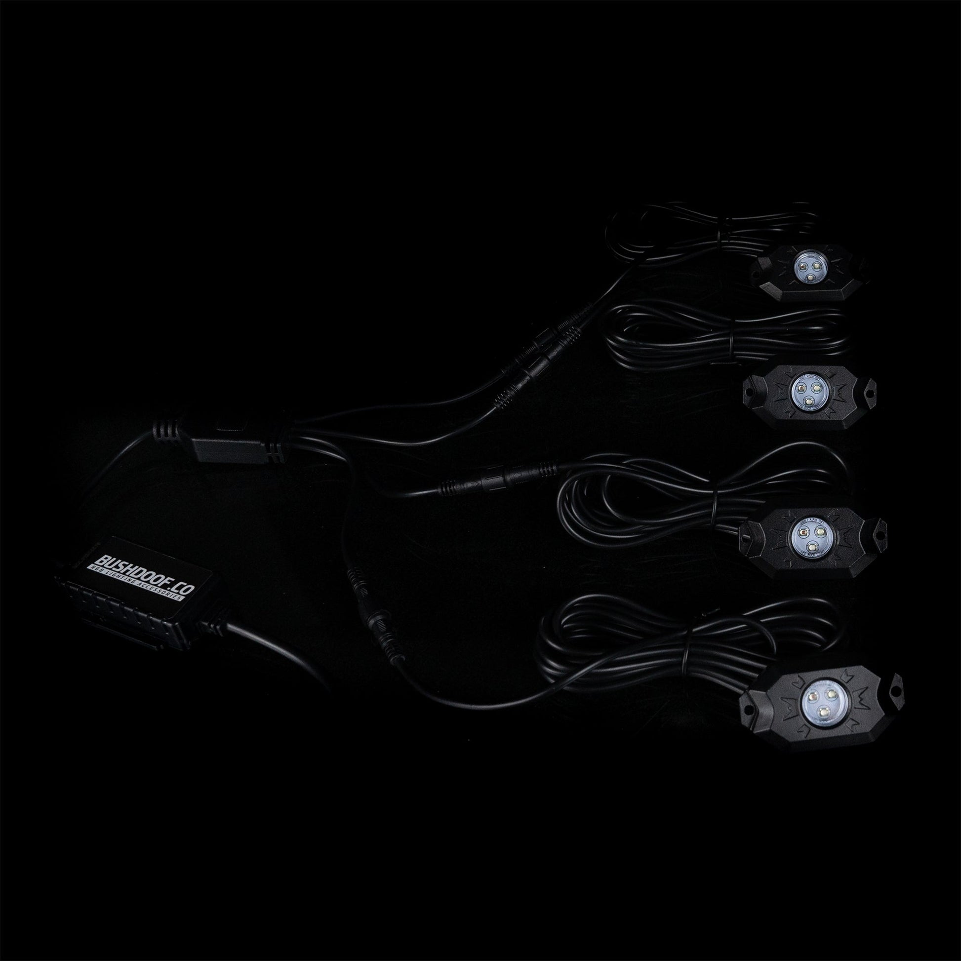 RGB Rock Light Controller - Bushdoof Lighting