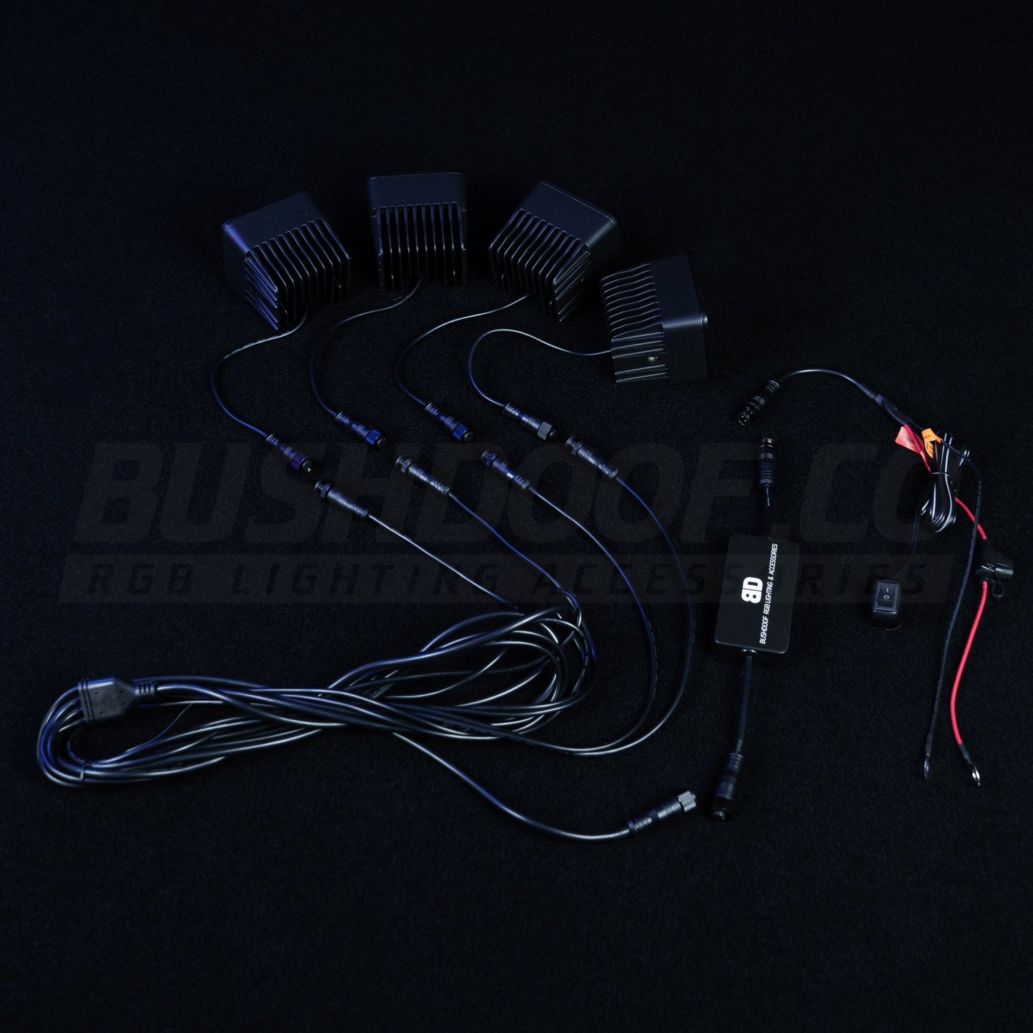 Strobing Party Lights - Bushdoof Lighting