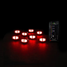 Chasing RGB Rock Lights - 8 Pack - Bushdoof Lighting